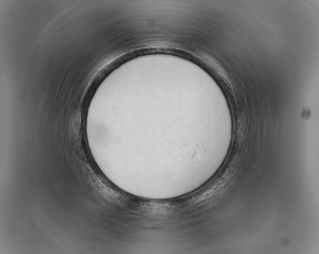 X0000096630831200802261202