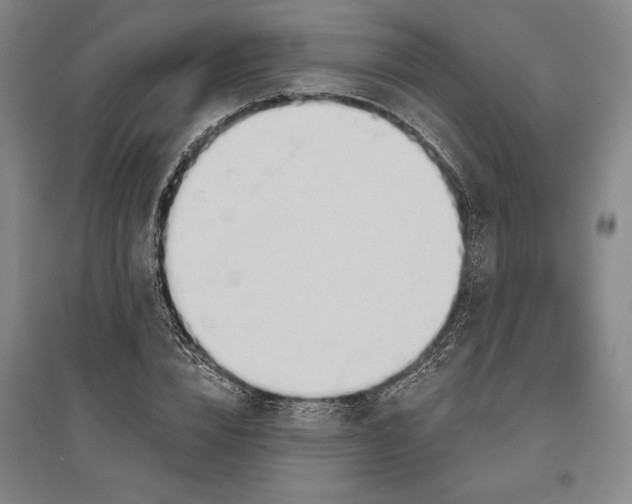 X0000096630832200802261202