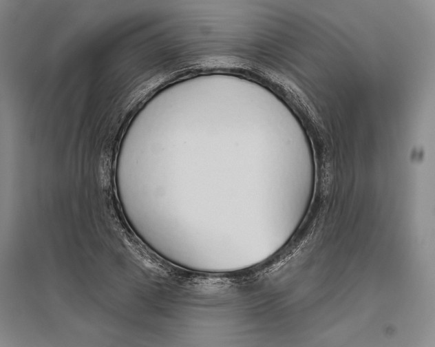 X0000096630833200802261202