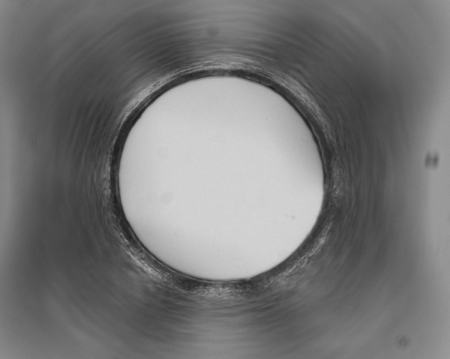 X0000096630834200802261202