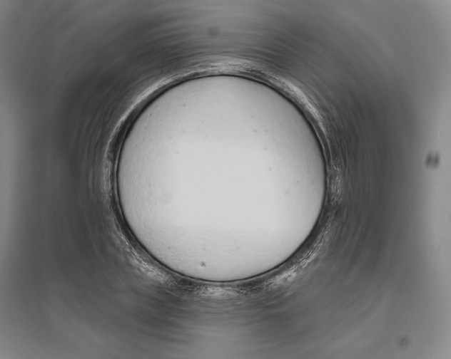 X0000096630835200802261202
