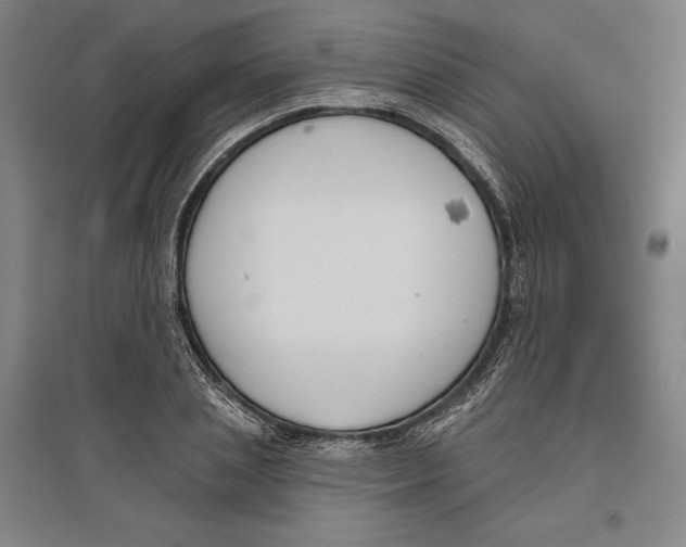 X0000096630837200802261202