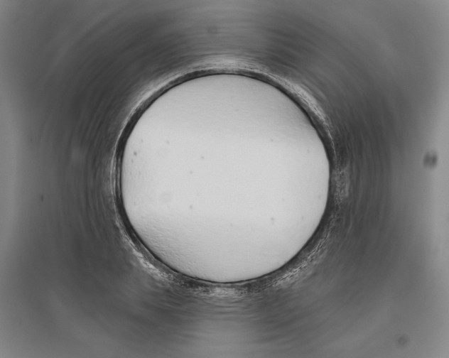 X0000096630839200802261202