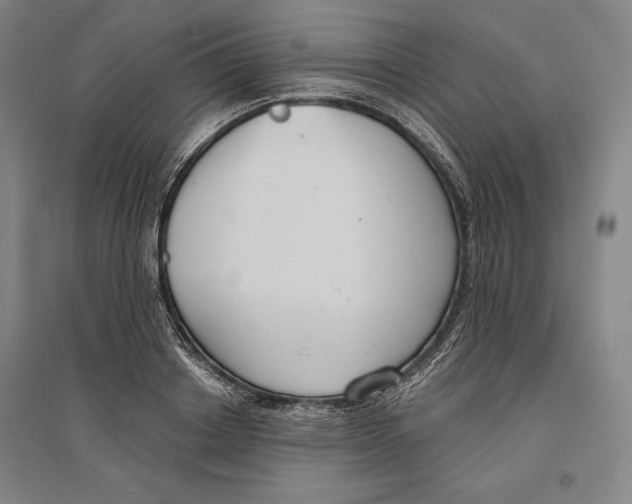 X0000096630842200802261202