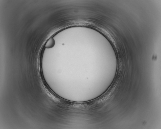 X0000096630843200802261202
