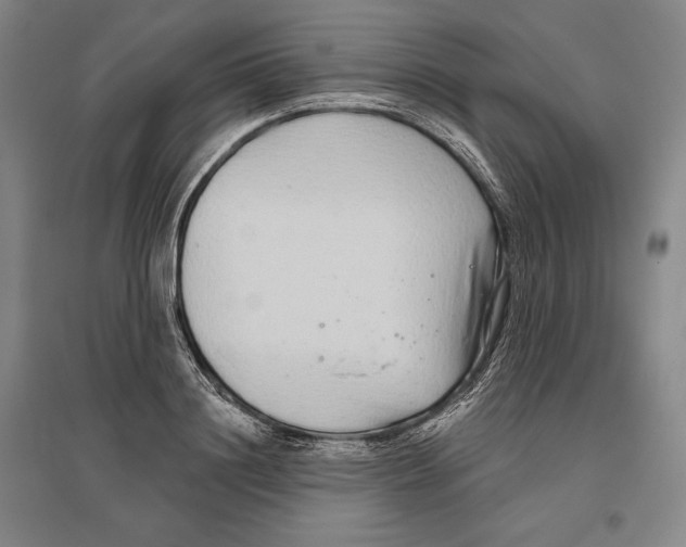 X0000096630844200802261202