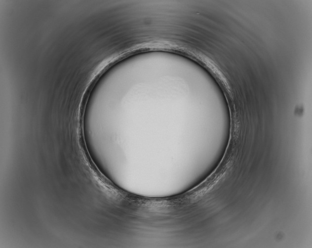X0000096630845200802261202