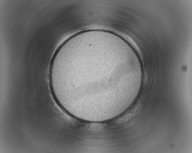 X0000096630847200802261202