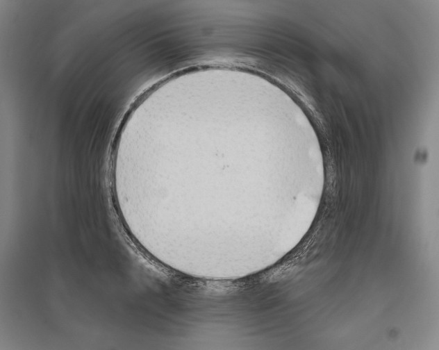 X0000096630848200802261202