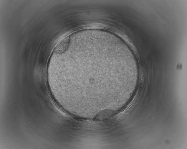 X0000096630850200802261203