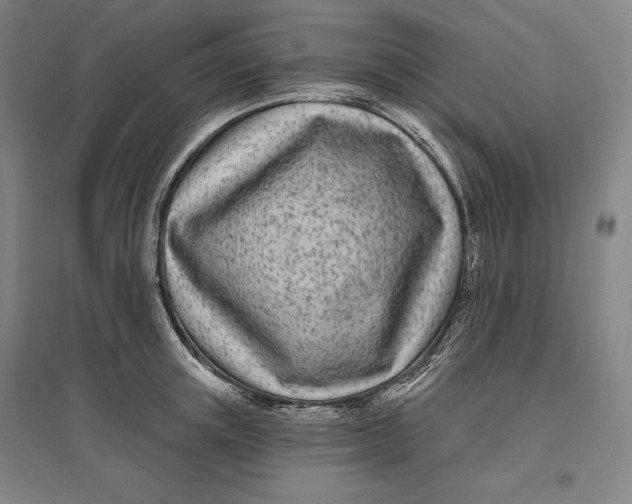 X0000096630851200802261203