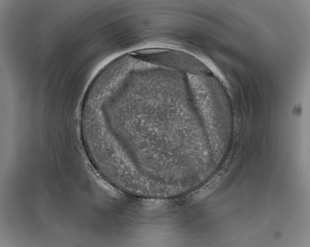 X0000096630854200802261203