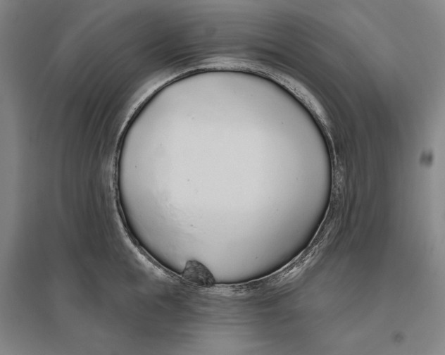 X0000096630855200802261203