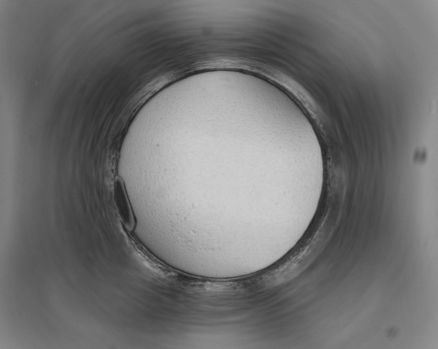 X0000096630857200802261203