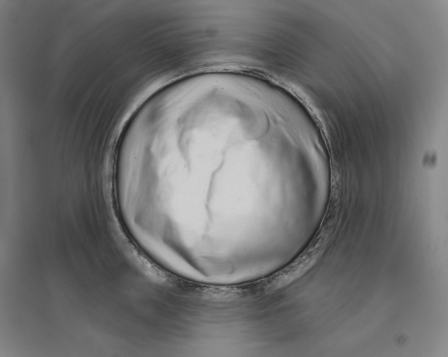 X0000096630859200802261203
