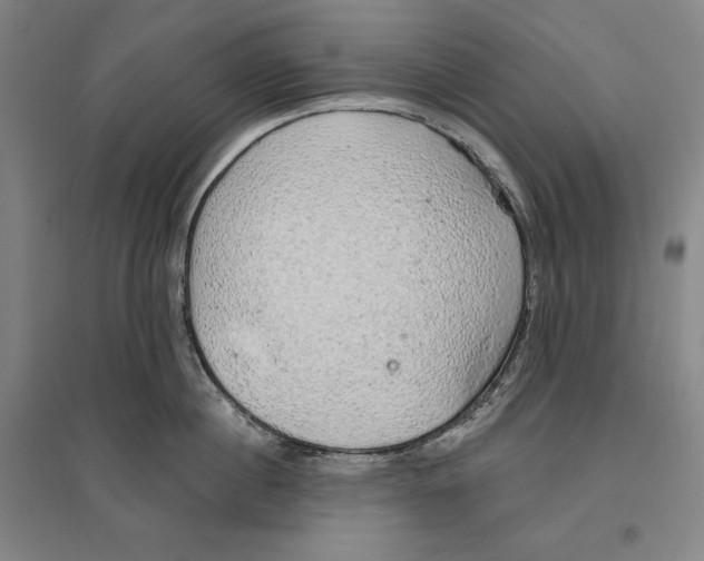 X0000096630860200802261203