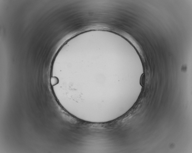X0000096630861200802261203