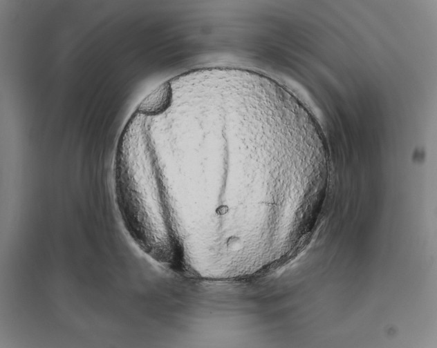 X0000096630863200802261203