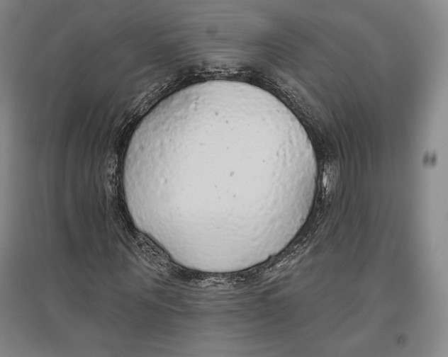 X0000096630867200802261202