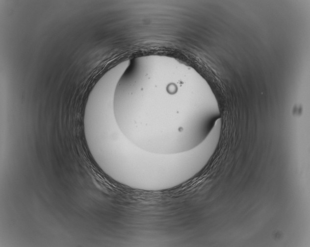X0000096630868200802261202