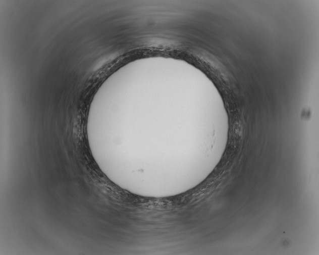 X0000096630869200802261202