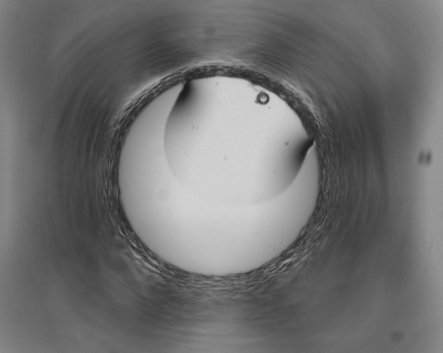X0000096630872200802261202