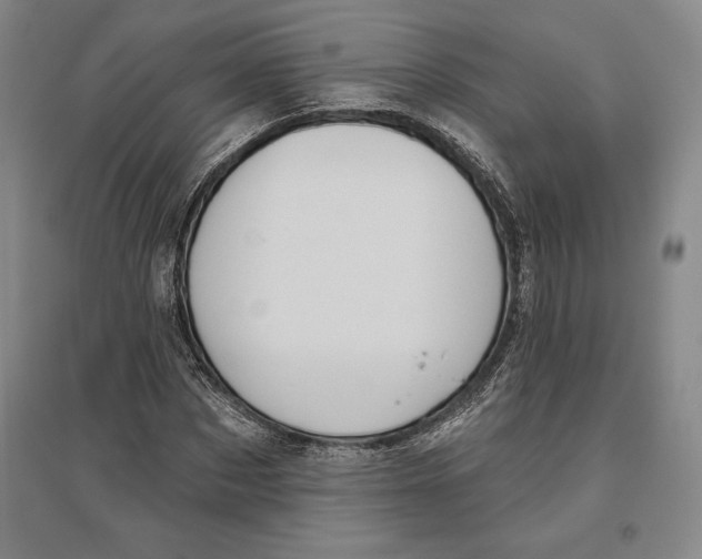 X0000096630873200802261202