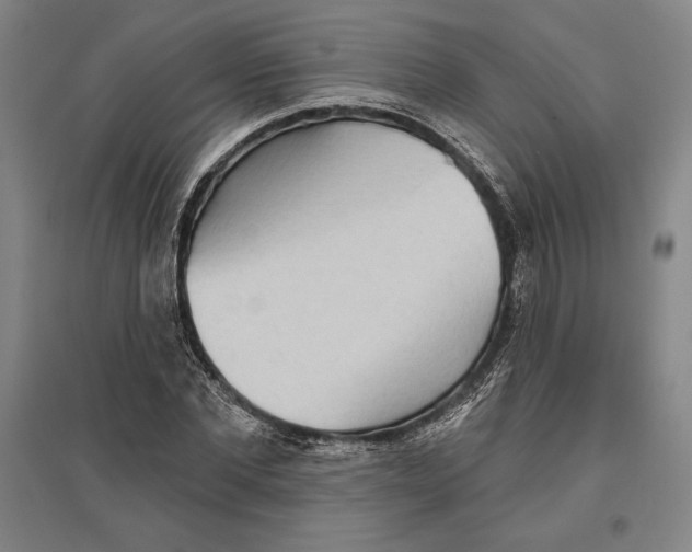 X0000096630877200802261202
