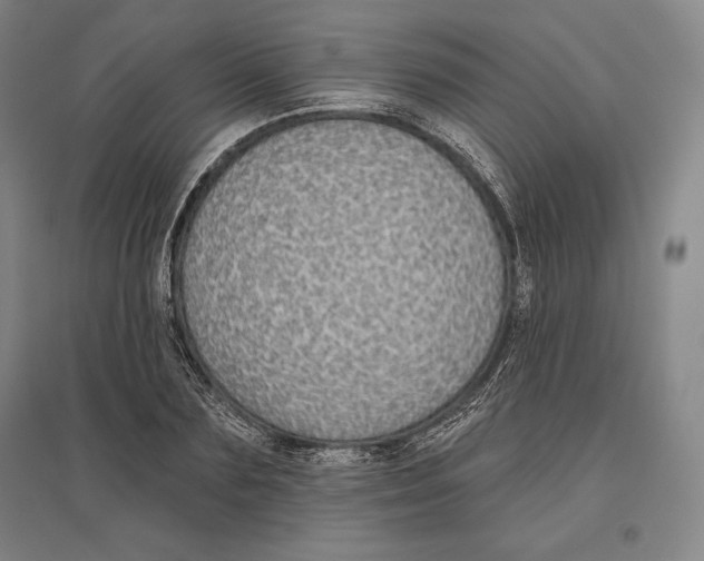 X0000096630883200802261202