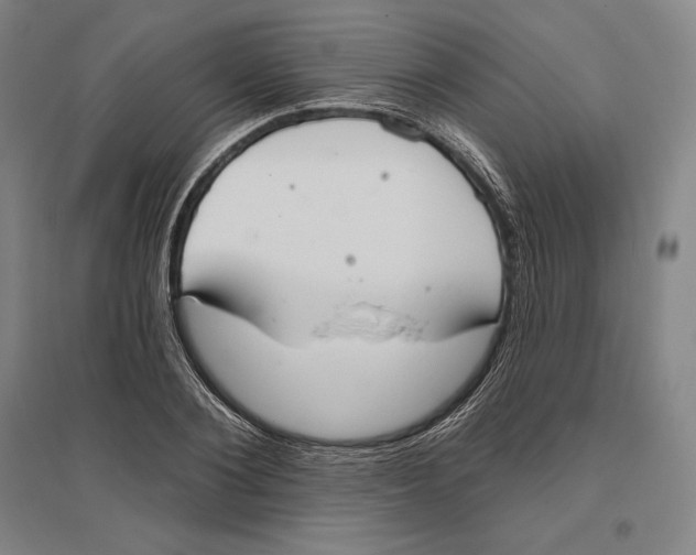 X0000096630884200802261202