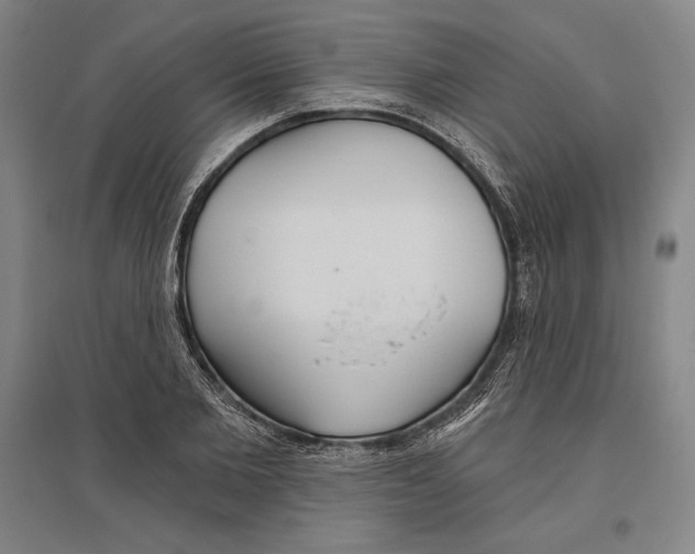 X0000096630885200802261202