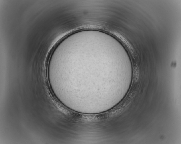 X0000096630886200802261202
