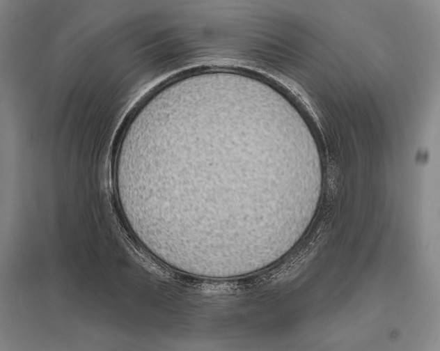 X0000096630887200802261202