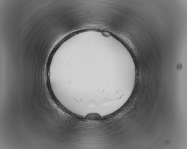 X0000096630888200802261202
