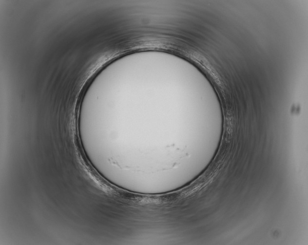 X0000096630890200802261202