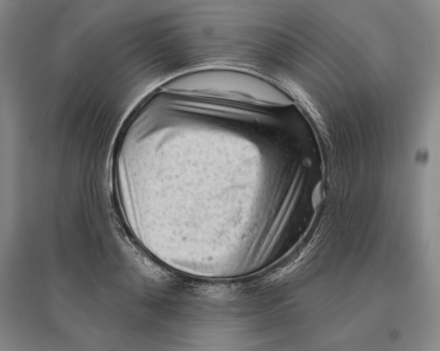 X0000096630892200802261202