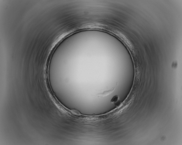 X0000096630893200802261202
