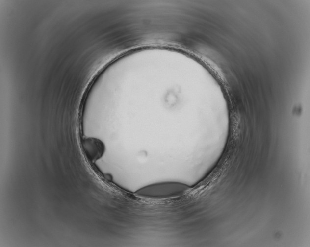 X0000096630895200802261202