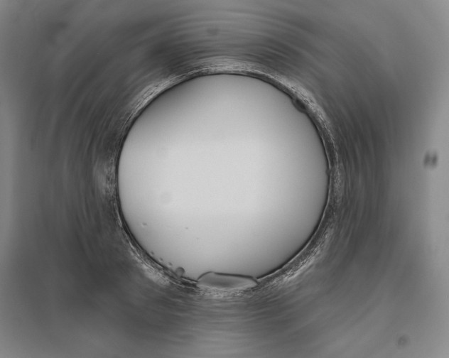 X0000096630897200802261202