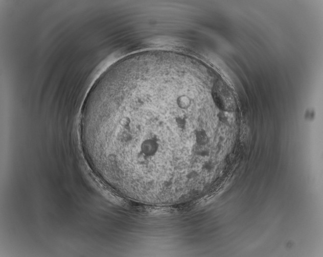 X0000096630899200802261202