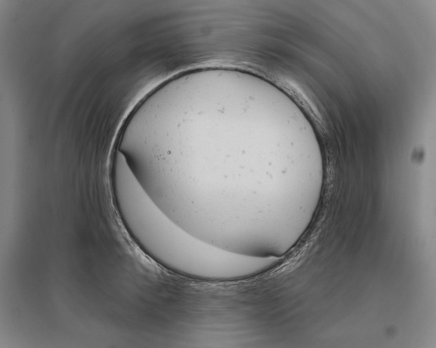 X0000096630900200802261202