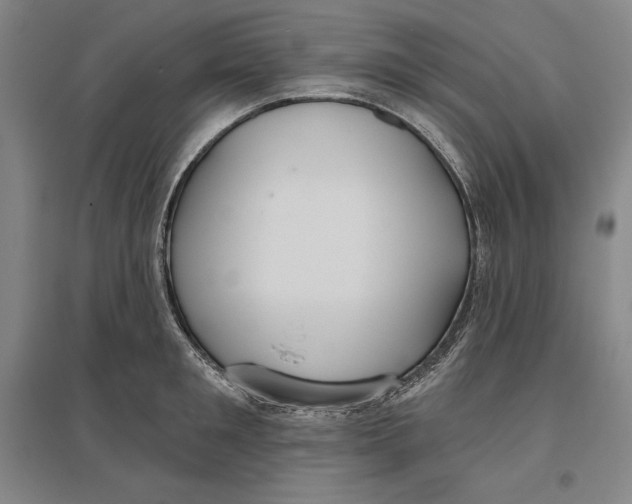 X0000096630901200802261201