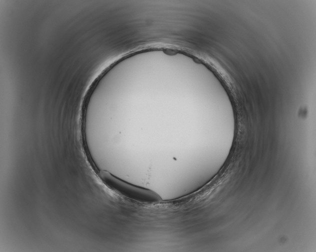 X0000096630902200802261201