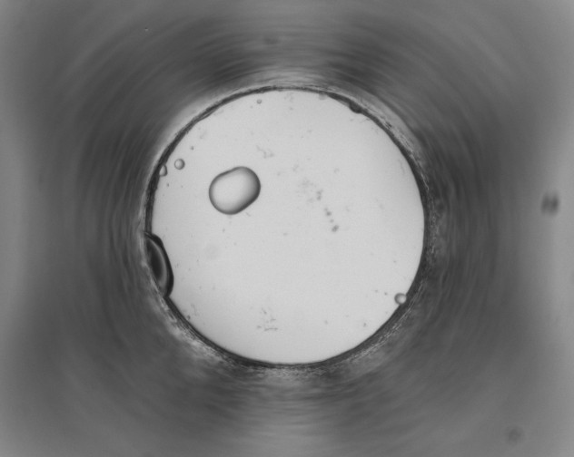 X0000096630904200802261201