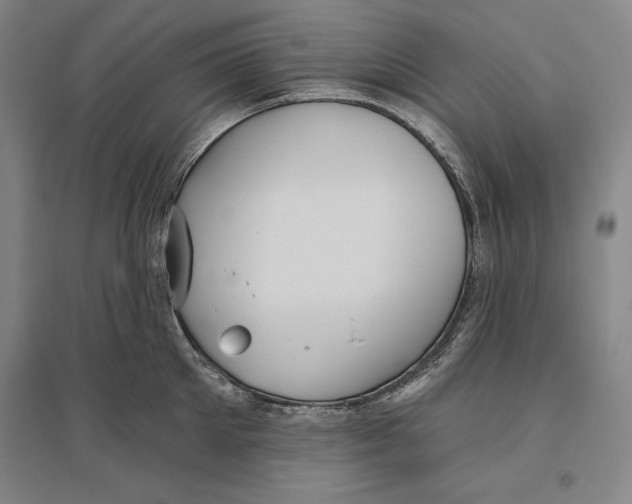 X0000096630905200802261201