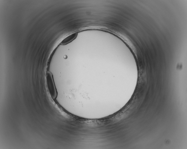 X0000096630906200802261201