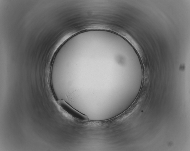 X0000096630909200802261201