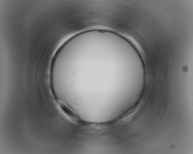 X0000096630910200802261201