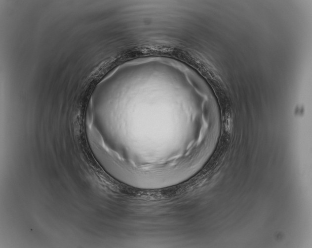 X0000096630915200802261201