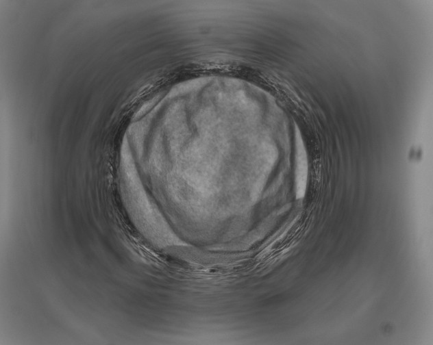 X0000096630916200802261201